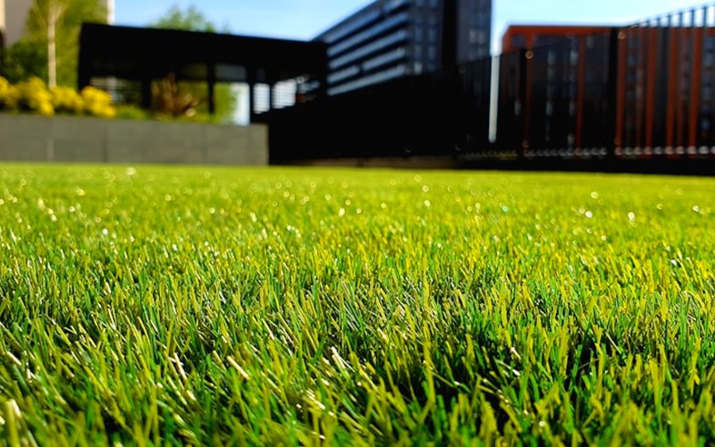 Home landscaping